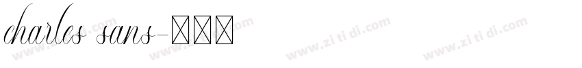 charles sans字体转换